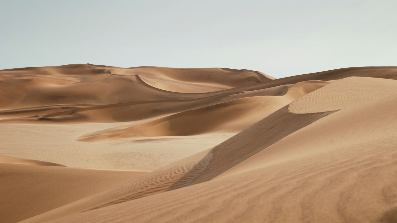 keith-hardy-PP8Escz15d8-unsplash
